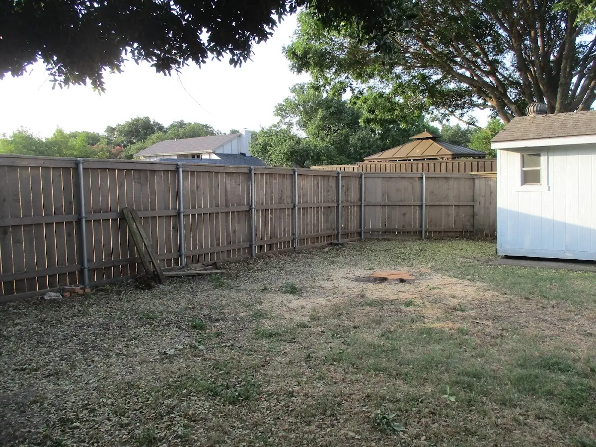 Cleared yard after professional tree removal in Elgin
